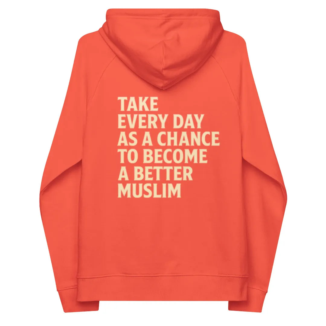 Unisex eco raglan hoodie